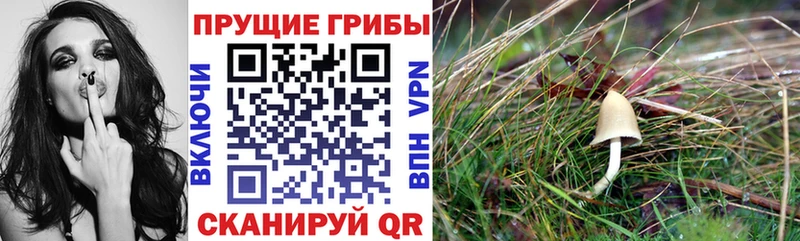 Галлюциногенные грибы мицелий  где купить   маркетплейс состав  Туран 