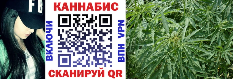 Канабис OG Kush Туран